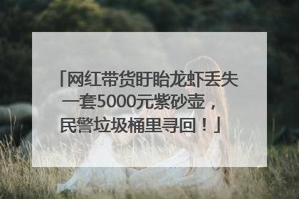 网红带货盱眙龙虾丢失一套5000元紫砂壶，民警垃圾桶里寻回！