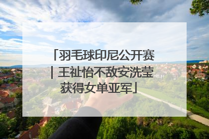 羽毛球印尼公开赛｜王祉怡不敌安洗莹 获得女单亚军