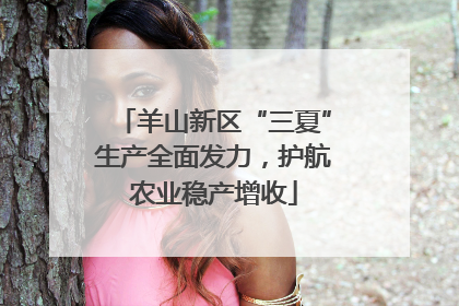 羊山新区“三夏”生产全面发力，护航农业稳产增收