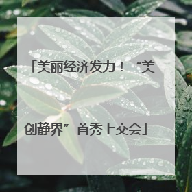 美丽经济发力！“美创静界”首秀上交会