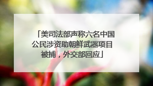 美司法部声称六名中国公民涉资助朝鲜武器项目被捕，外交部回应