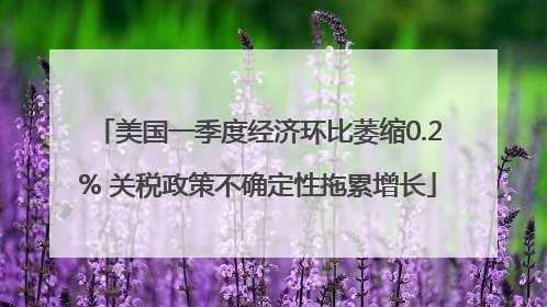 美国一季度经济环比萎缩0.2% 关税政策不确定性拖累增长