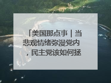 美国那点事｜当悲观情绪弥漫党内，民主党该如何拯救自己？