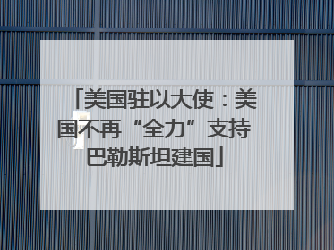 美国驻以大使：美国不再“全力”支持巴勒斯坦建国