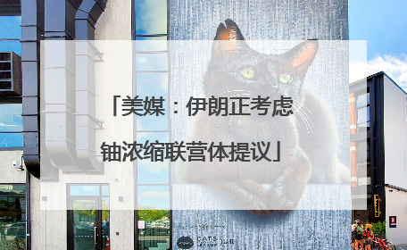 美媒：伊朗正考虑铀浓缩联营体提议
