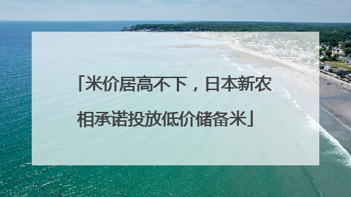 米价居高不下，日本新农相承诺投放低价储备米
