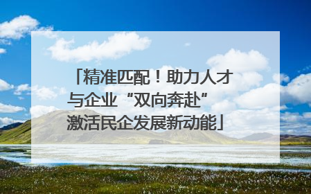 精准匹配！助力人才与企业“双向奔赴” 激活民企发展新动能
