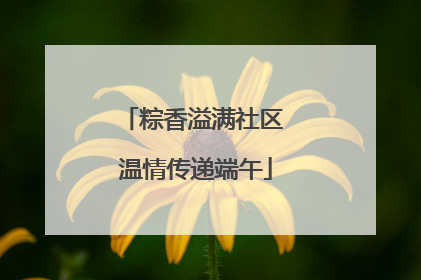 粽香溢满社区 温情传递端午