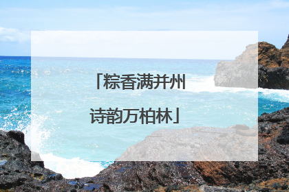 粽香满并州 诗韵万柏林