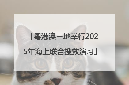 粤港澳三地举行2025年海上联合搜救演习
