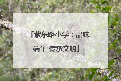 紫东路小学：品味端午 传承文明