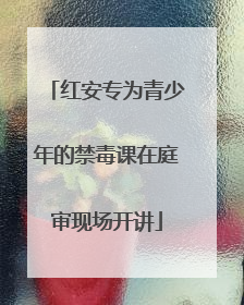 红安专为青少年的禁毒课在庭审现场开讲