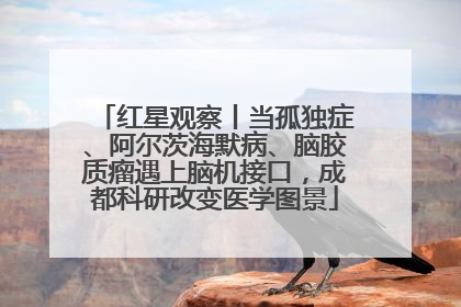 红星观察丨当孤独症、阿尔茨海默病、脑胶质瘤遇上脑机接口，成都科研改变医学图景