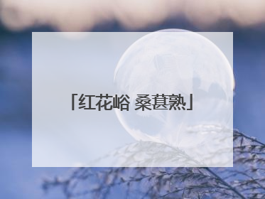 红花峪 桑葚熟