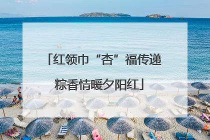 红领巾“杏”福传递 粽香情暖夕阳红