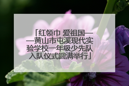 红领巾 爱祖国——黄山市屯溪现代实验学校一年级少先队入队仪式圆满举行