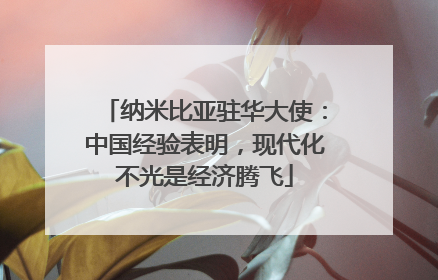 纳米比亚驻华大使：中国经验表明，现代化不光是经济腾飞