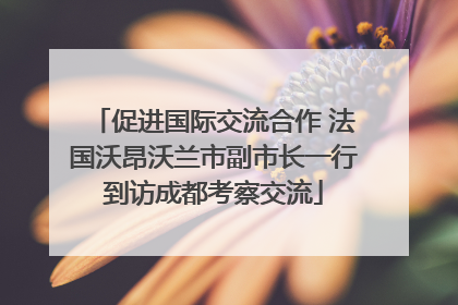 促进国际交流合作 法国沃昂沃兰市副市长一行到访成都考察交流