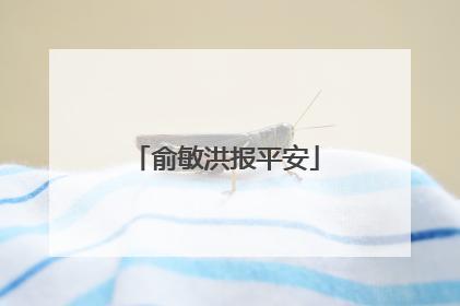 俞敏洪报平安