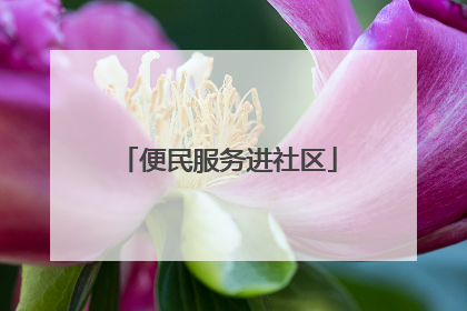 便民服务进社区