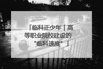 临科正少年｜高等职业院校建设的“临科速度”
