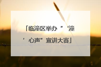 临潼区举办“‘潼’心声”宣讲大赛