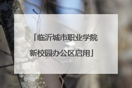 临沂城市职业学院新校园办公区启用