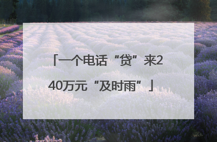 一个电话“贷”来240万元“及时雨”