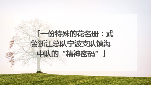一份特殊的花名册：武警浙江总队宁波支队镇海中队的“精神密码”