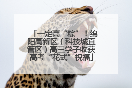 一定高“粽”！绵阳高新区（科技城直管区）高三学子收获高考“花式”祝福