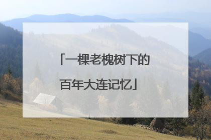 一棵老槐树下的百年大连记忆