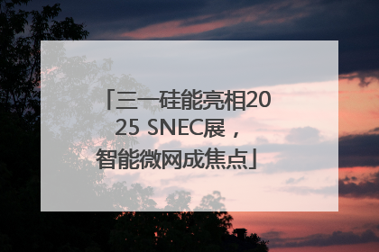 三一硅能亮相2025 SNEC展，智能微网成焦点