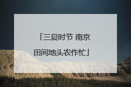 三夏时节 南京田间地头农作忙