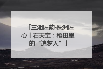 三湘匠韵·株洲匠心丨石天宝：稻田里的“追梦人”