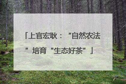 上官宏耿：“自然农法”培育“生态好茶”