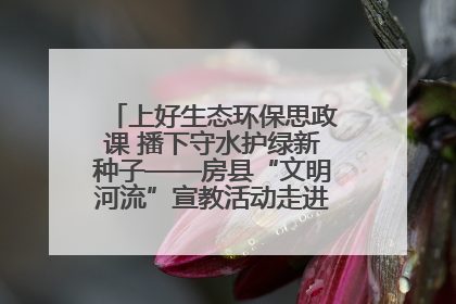 上好生态环保思政课 播下守水护绿新种子——房县“文明河流”宣教活动走进八一希望小学