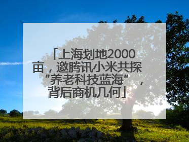 上海划地2000亩，邀腾讯小米共探“养老科技蓝海”，背后商机几何