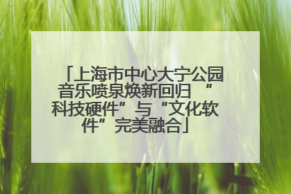上海市中心大宁公园音乐喷泉焕新回归 “科技硬件”与“文化软件”完美融合