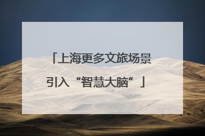 上海更多文旅场景引入“智慧大脑”
