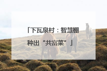 下瓦泉村：智慧棚种出“共富菜”