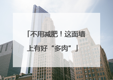 不用减肥！这面墙上有好“多肉”