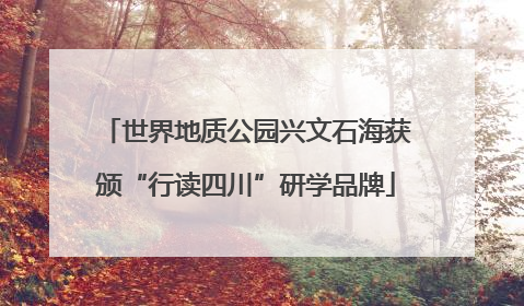 世界地质公园兴文石海获颁“行读四川”研学品牌