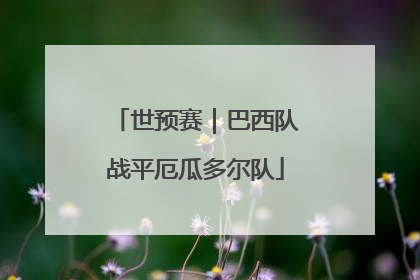 世预赛｜巴西队战平厄瓜多尔队