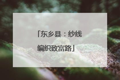 东乡县：纱线编织致富路
