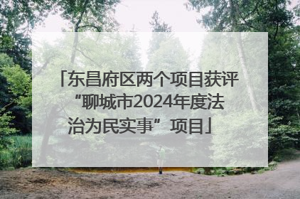 东昌府区两个项目获评“聊城市2024年度法治为民实事”项目