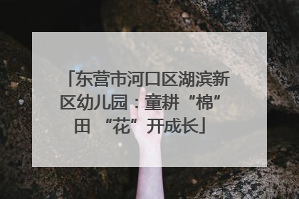 东营市河口区湖滨新区幼儿园：童耕“棉”田 “花”开成长