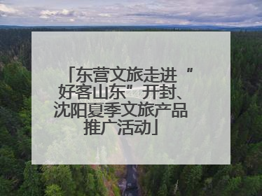 东营文旅走进“好客山东”开封、沈阳夏季文旅产品推广活动