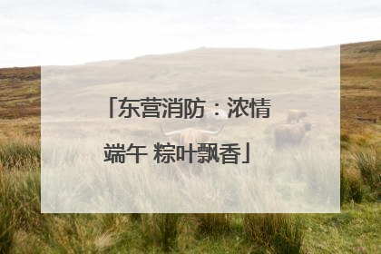 东营消防：浓情端午 粽叶飘香