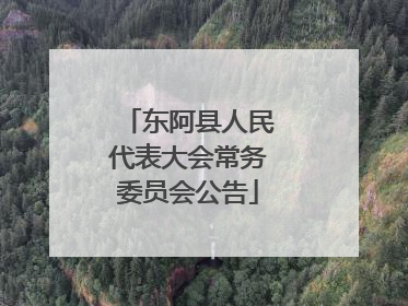 东阿县人民代表大会常务委员会公告