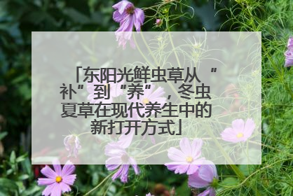 东阳光鲜虫草从“补”到“养”，冬虫夏草在现代养生中的新打开方式